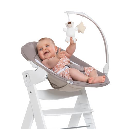 hauck Alpha Bouncer Deluxe 2 en 1, Hamaca Trona Evolutiva,...