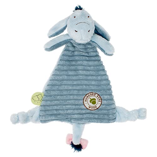 Rainbow Designs Eeyore Hundred Acre Woods Comforter Blanket...